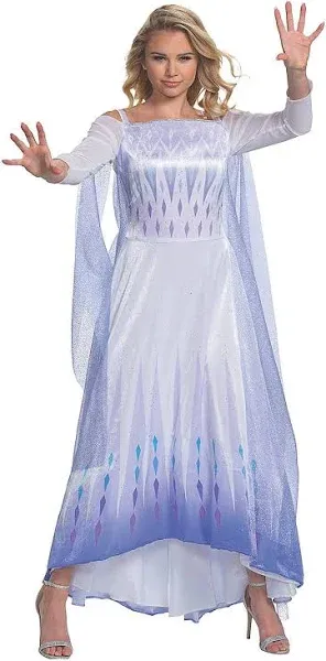 Disney Frozen II Deluxe Elsa Women Costume, Medium - Size 8-10