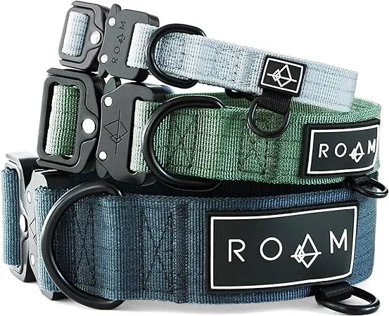 Made to Roam Premium Dog Collar - Adjustable Heavy Duty Nylon Collar with Quick-Release Metal Buckle (Arizona Sunkissed, Size 5)